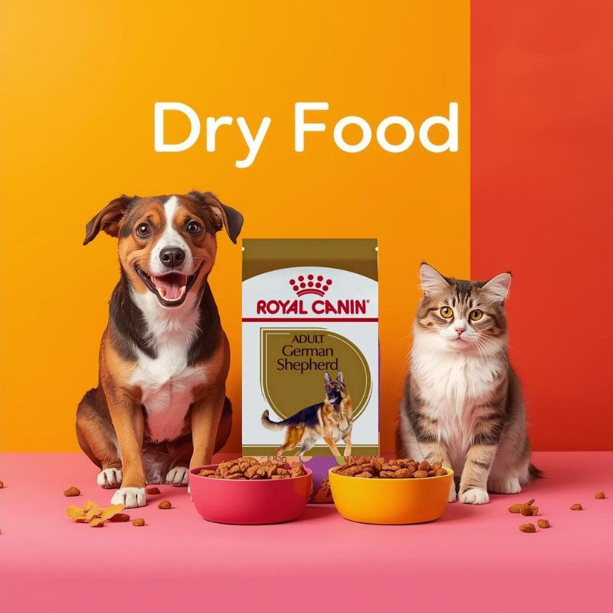 Dry Food