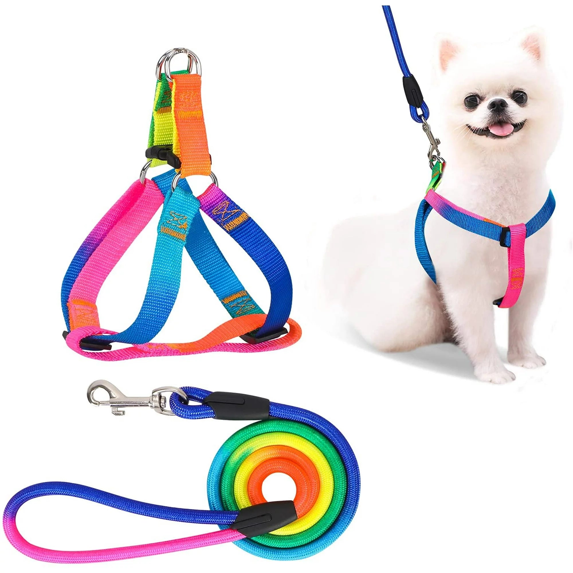 PET's Harness with Leash Set_Colorful Nylon