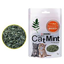 Catnip Mint Powder (5g)