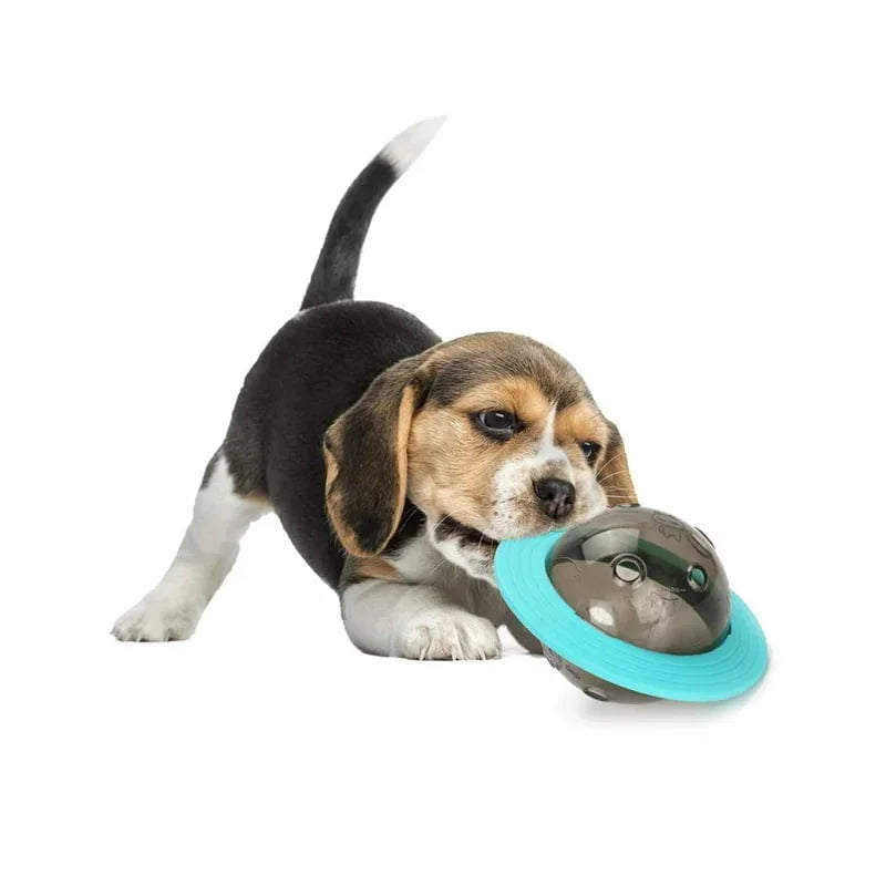 Dog Planet Treat Toy