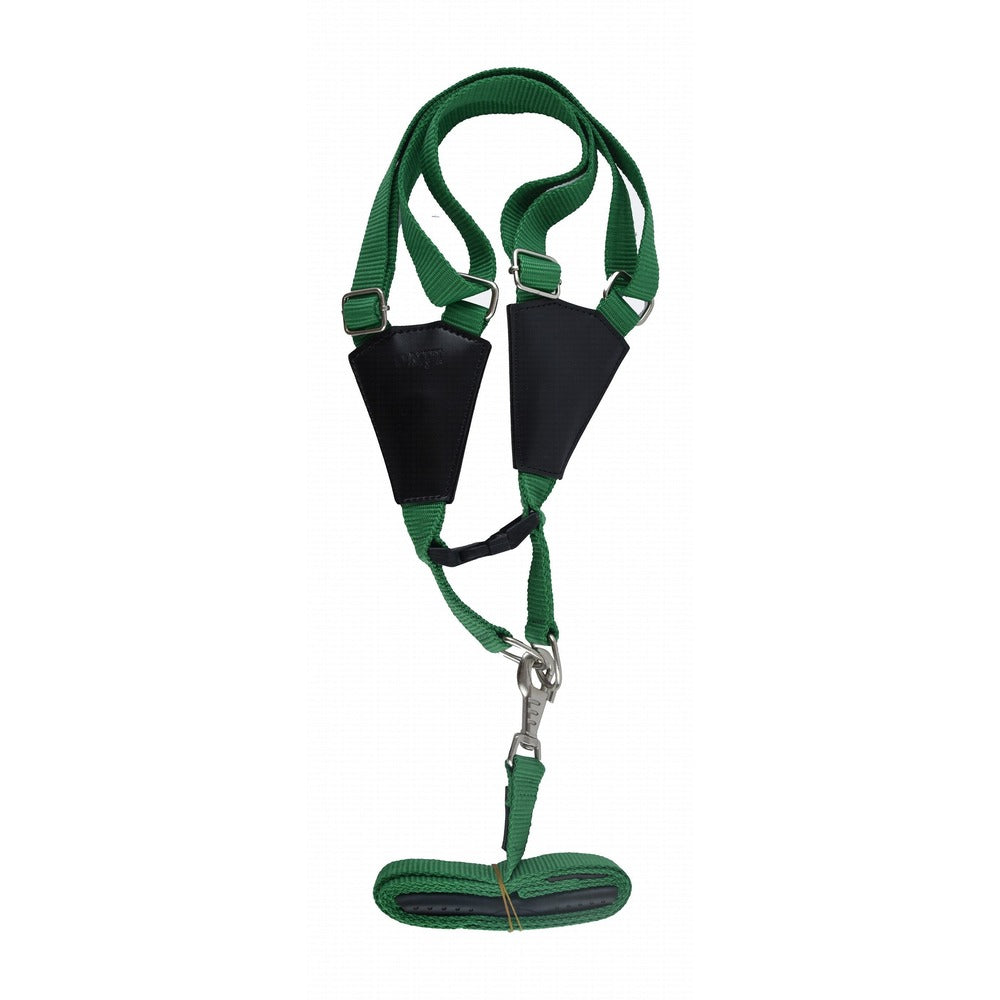 Lino XL Green & Black Dog Harness with Leash
