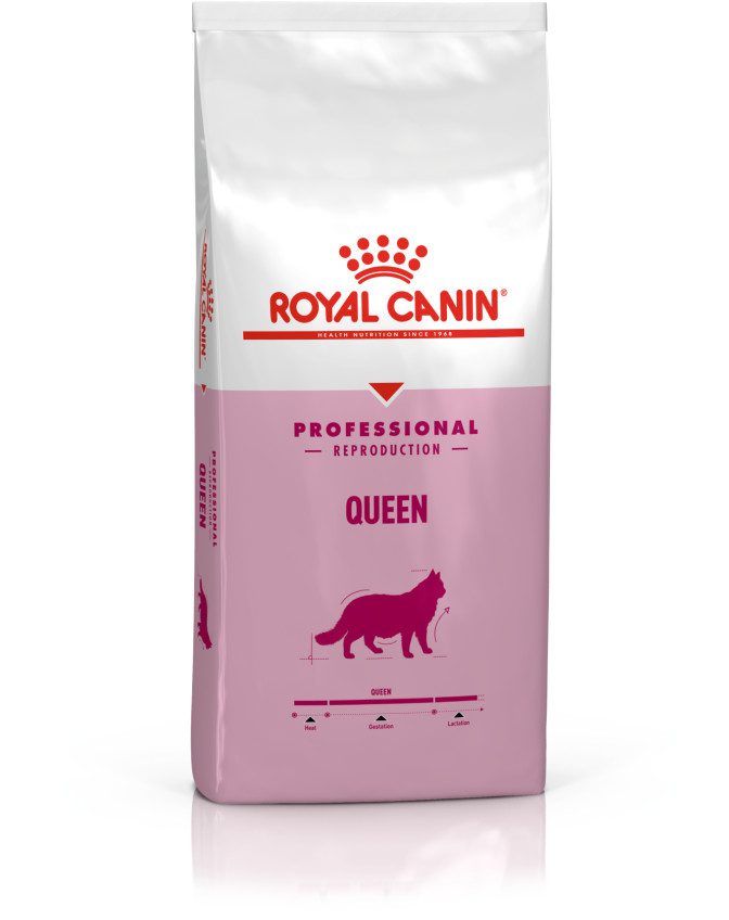 Royal Canin Queen– Specially for gestating and lactating queens (4kg)