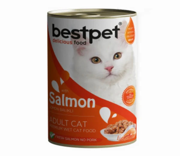 bestpet Adult Cat with salmon Wet Food Cans 400 g