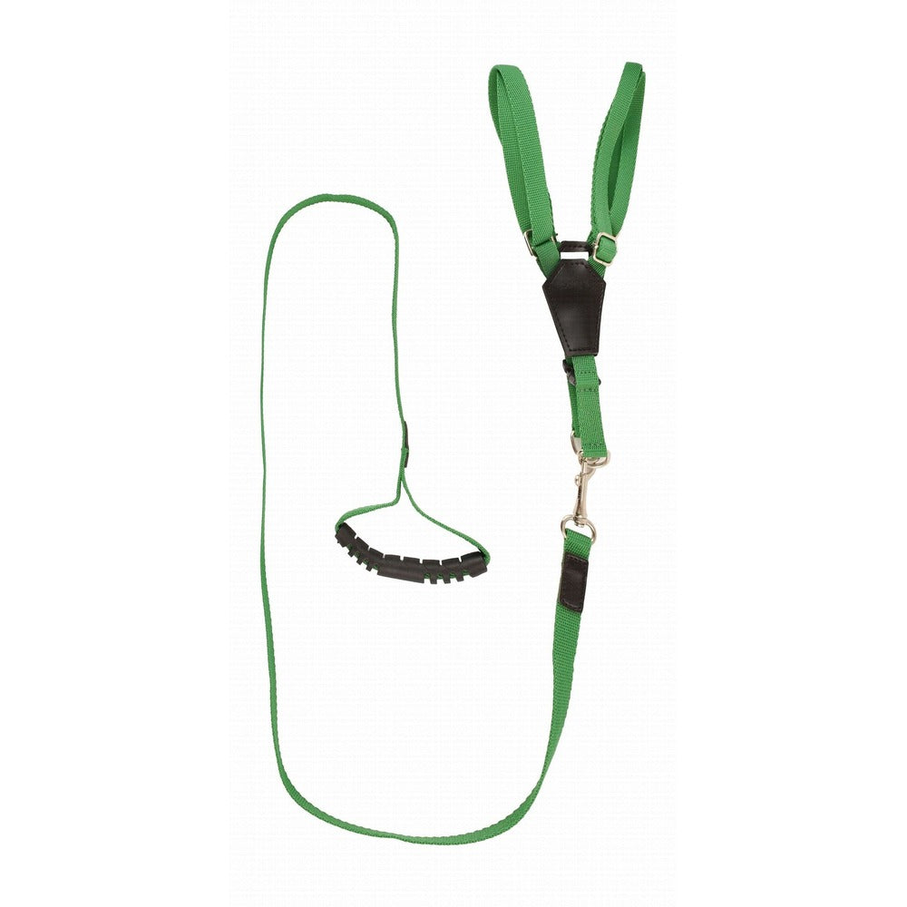 Lino Medium Green Dog Harness with Leash
