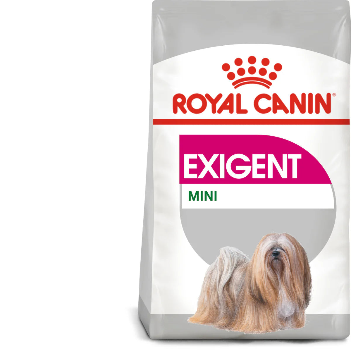 Royal Canin Mini Exigent (3 KG) - Dry food for small dogs up to 10 KG with fussy appetite. Over 10 months