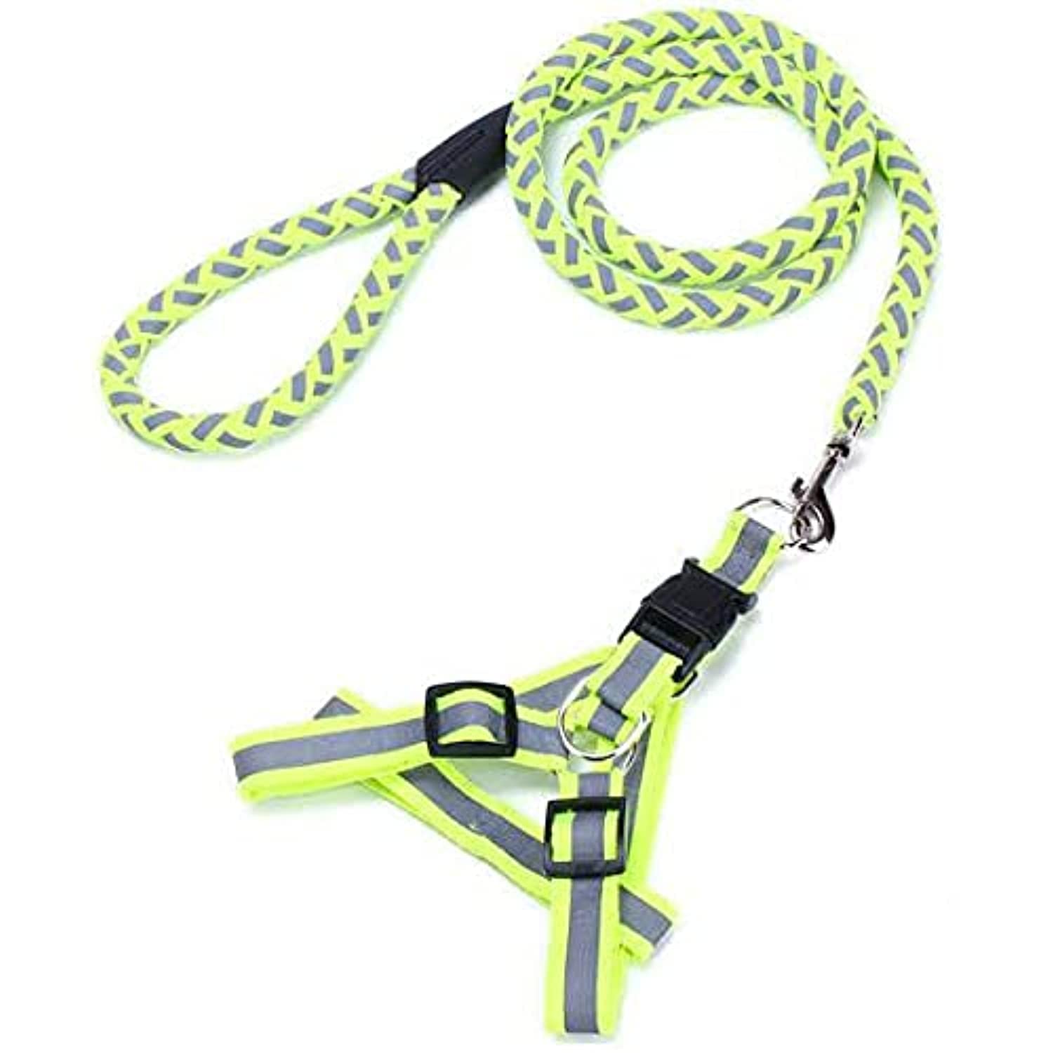 Dog's Harness & Leash