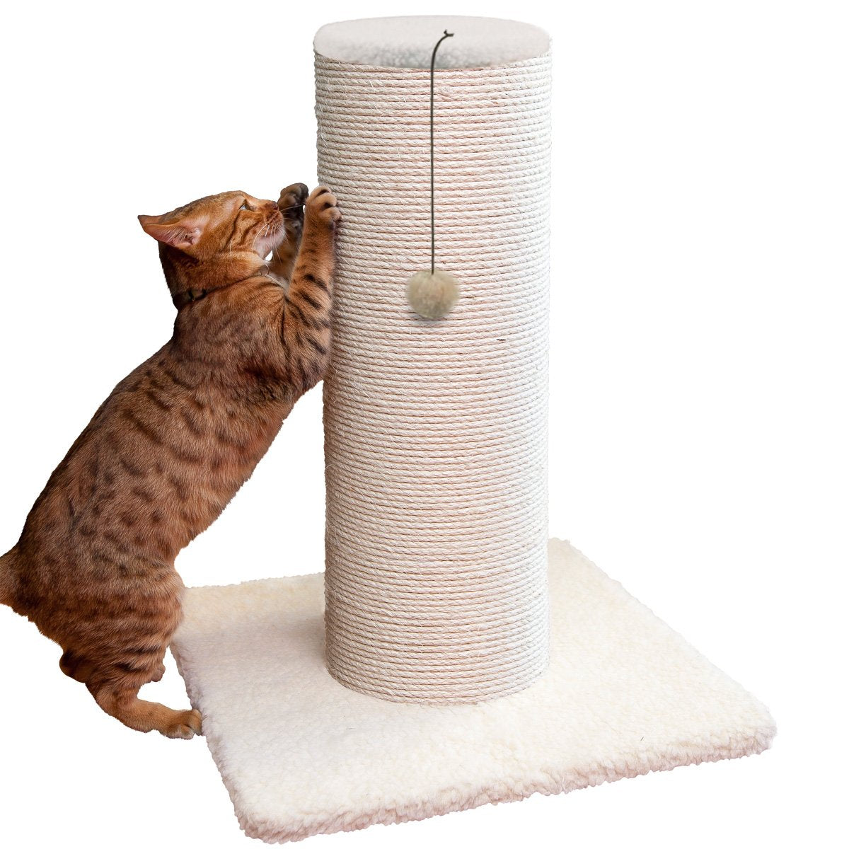 Cat Scratching with Rope