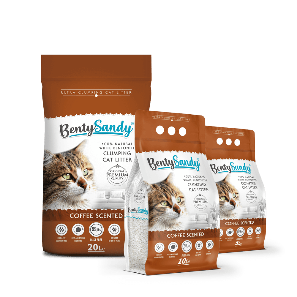 Benty Sandy Clumping Litter Coffee scented