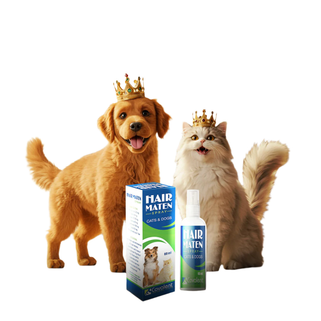 Hair Maten Spray cats and dogs 60ML