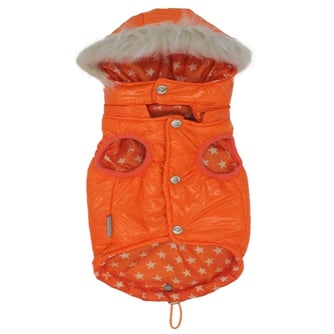 Pawstar Orange vest for dogs