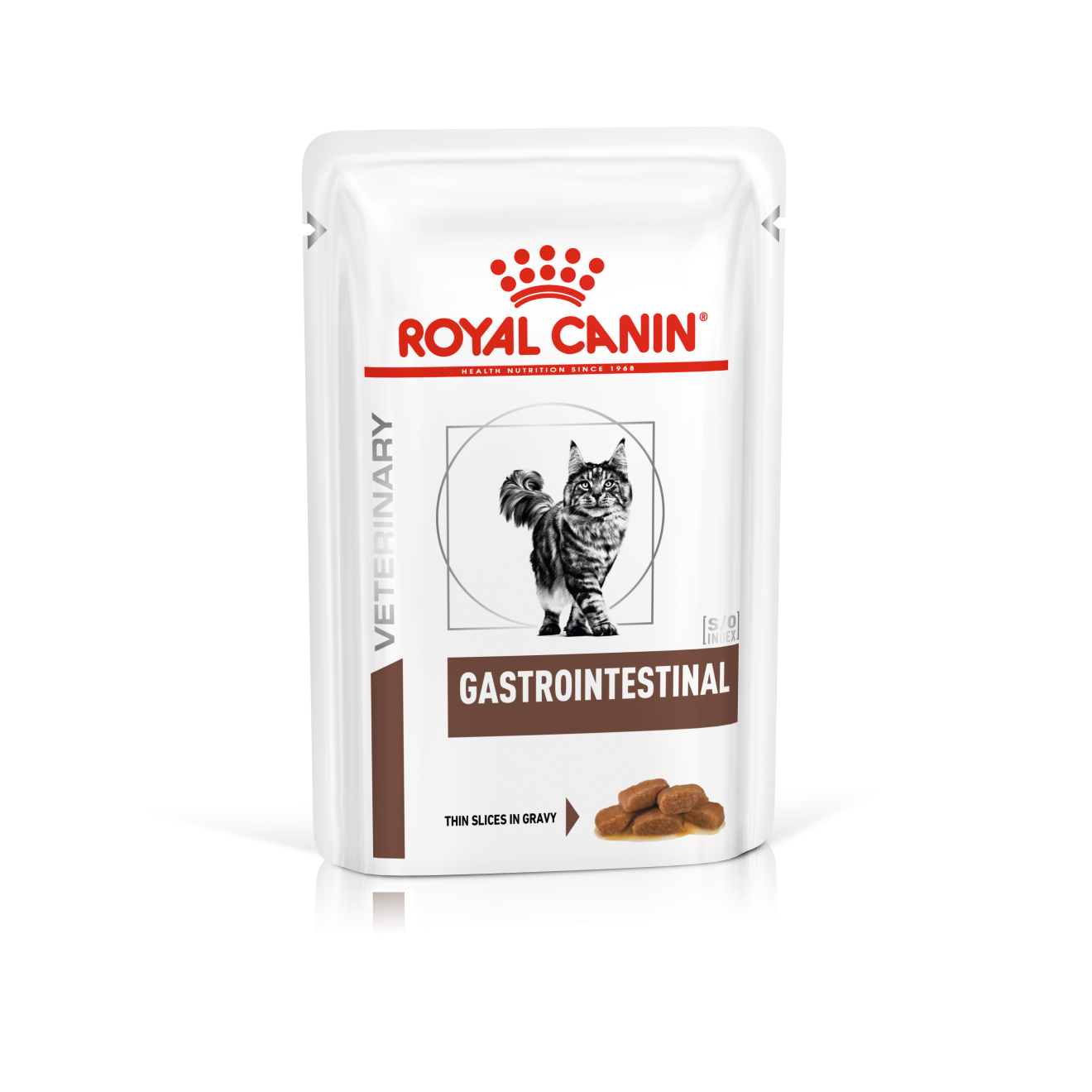 royal canin gastrointestinal wet food for cat in gravy (85gr-pouch)