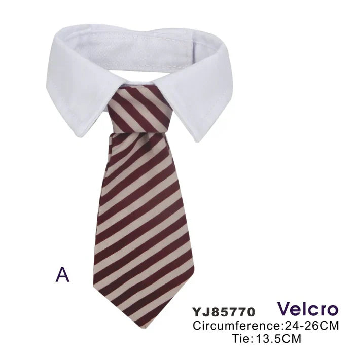 Naomi Pet Scarf YJ85770