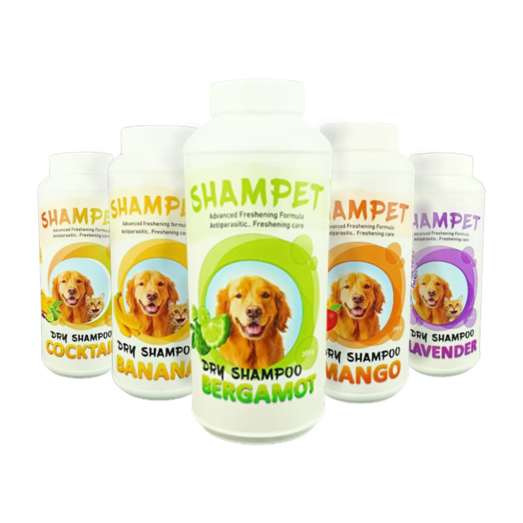 shampet dry shampoo for cat and dog powder 200gr