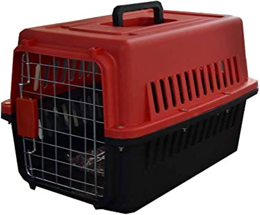 Pet Radwan  Box medium