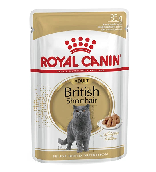 Royal Canin British Shorthair – Wet food for adult cat  (85gm\ Pouch)